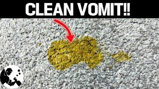 How To Clean Vomit From Carpet!