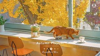 𝙒𝙖𝙧𝙢 𝘼𝙪𝙩𝙪𝙢𝙣 𝙑𝙞𝙗𝙚𝙨 Chill Korean Cafe Playlist to Make Your Day, Relaxing K-POP Music to Study, Work