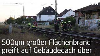 Flächenbrände in Babenhausen und Zeilhard