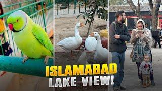 Pakistan's Largest Bird Park || Lake View Park Aviary || Islamabad || Sanam shah