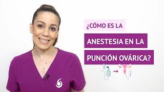 ¿Cómo es la anestesia en la punción ovárica para reproducción asistida?