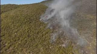 Firefighters Battle Wildfire Burning on Mexico's Monterrey Mountain