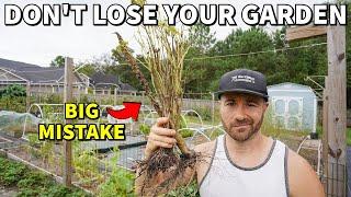 This BIG Mistake Is KILLING Your Garden Right Now!