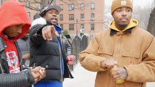 Welcome to the Queensbridge Housing Projects