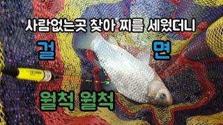 걸면 월척이네. #일성사글루텐 #윤공방각도기 #주한피싱 #미라클스토찌