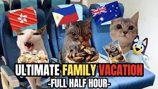 CAT MEMES: A FAMILY VACATION HALF HOUR COMPILATION