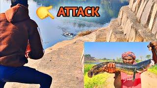 Big Snakehead Fishing In Winter Season|| Snakehead Fishing In India #snakeheadfishing #froglure