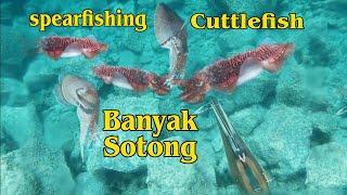 Cuttlefish spearfishing | Nembak sotong kompilasi  video Spearfishing cuttlefish compilation