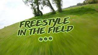 Speedy Bee Master 5 HD - Freestyle in the Field