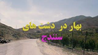 گشتی در دشت های اطراف سنندج در بهار || A tour of the plains around Sanandaj in spring