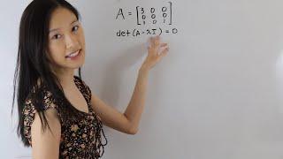 How to find the eigenvalues of a 3x3 matrix | Math with Janine