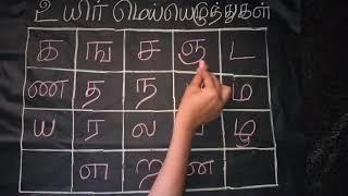 uyir mei eluthukkal in Tamil |Tamil eluthukkal for kids |easy learning uyir mei eluthukkal