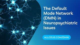 DMN and the Amygdala in Neuropsychiatric Issues