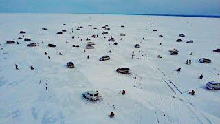 ОГРОМНАЯ ТОЛПА ГОНЯЕТ СУДАКА на Обском водохранилище! Зимняя рыбалка на судака с эхолотом Калипсо.