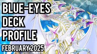 1ST PLACE! Blue-Eyes Deck Profile! FEBRUARY 2025!