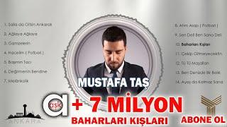 Mustafa Taş - Baharları Kışları