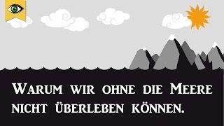 Plastik im Meer, CO2, Überfischung, Mikroplastik, Klimawandel - Wir brauchen die Meere Doku