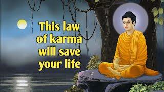 THIS LAW WILL SAVE YOUR LIFE | Buddha life Story Of Karma