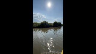 Mangrove Forest  Soon | Mr sasi kid | First vlog | #shorts #shortvideo #vlog #creative #mrsasikid
