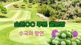 수국의 향연 #순천CC골프장