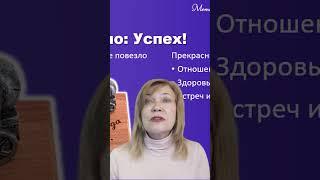 Все хорошо — аж скучно : краткий прогноз на четверг 09 ноября 2023 года