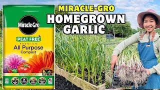 Miracle Gro Premium All Purpose Compost #ad #compost #shorts