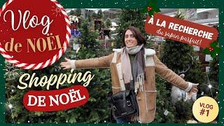 VLOG SHOPPING DECOS DE NOËL   I Achats du sapin et des décos chez Casa, Maison du monde,Truffaut...