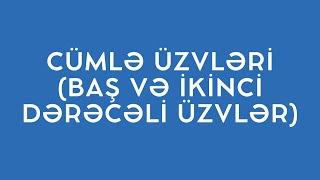 CÜMLƏ ÜZVLƏRİ (BAŞ VƏ İKİNCİ DƏRƏCƏLİ ÜZVLƏR TAM İZAH)