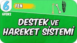 Destek ve Hareket Sistemi  6FEN2 #2025