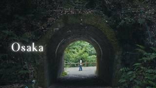 Getaway to nature  Forest bathing in Osaka #shinrinyoku | Japan Vlog