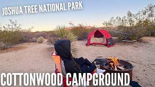 Cottonwood Campground | Joshua Tree National Park | Tent camping