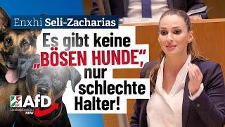 Es gibt keine „bösen Hunde“, nur schlechte Halter! – Enxhi Seli-Zacharias (AfD)