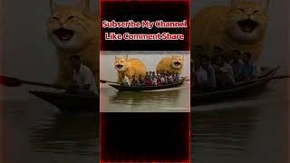 Funny Video cat and man,Rana Digital Hub