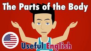 Learn Useful English: The Parts of the Body