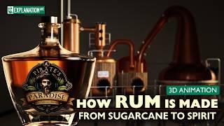 HOW RUM IS MADE - From Sugarcane to Spirit - 3D Animation