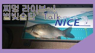 찌멍 라이브~! 별빛술담' Talk