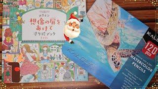 ESPECIAL DE NATAL - Colorindo World Literature - Eriy