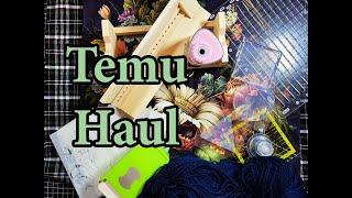 Temu Haul with Links