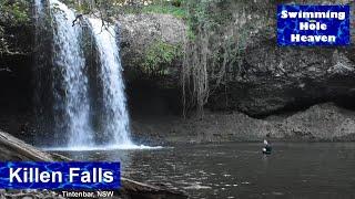 Swimming with a jumping fish at Killen Falls