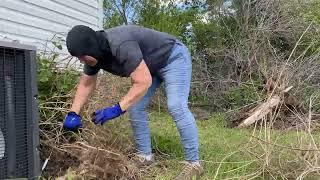 We SURPRISED Her with a FULL LAWN MAKEOVER!