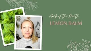 Herb of the Month: Lemon Balm