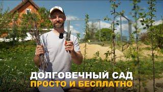 ДВА ПРОСТЫХ СПОСОБА ПРИВИВКИ ПЛОДОВЫХ ДЕРЕВЬЕВ. Прививка плодовых деревьев в расщеп и за кору.