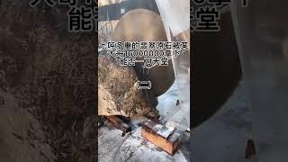 七吨多重的翡翠原石被台湾大哥直接拿下能否一刀天堂