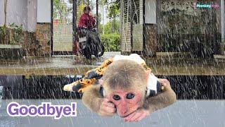 Ngan said goodbye… and Kyo did something no one expected!