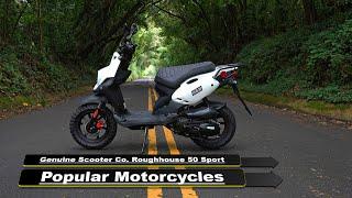 Genuine Scooter Co  Roughhouse 50 Sport Popular 2024 Motorcycles