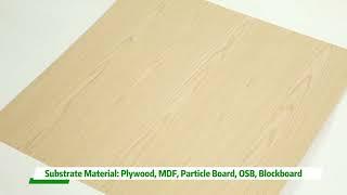 Crown Cut Ev White Silver Oak Wood Plywood 3Mm | E0 Engineered Wood Veneer Sheets- Tongli