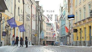 Estonia TravelOne-Day Tour of Tallinn｜Street Walk in Old Town