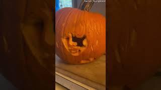 Taylor Swift Pumpkin Reveal