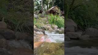 Гидромассаж ног на реке среди гор #travel #nature