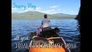 Starry Vlog: THIS IS HOMESTEAD  ENSLAVEMENT?